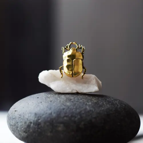 Anillo Escarabajo